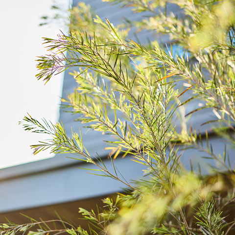 モダンリゾートの外構施工事例