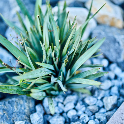 モダンリゾートの外構施工事例