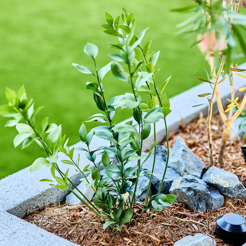 モダンリゾートの外構施工事例