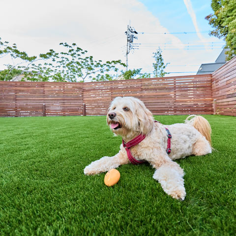 モダンリゾートの外構施工事例