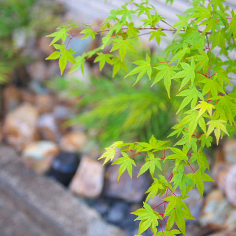 ナチュラルモダンの外構施工事例