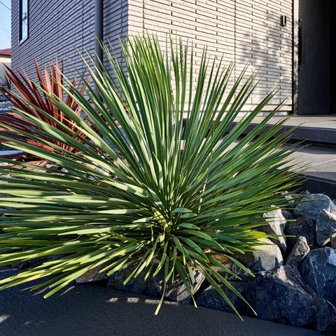 シンプルモダンの外構施工事例