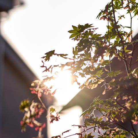 シンプルモダンの外構施工事例