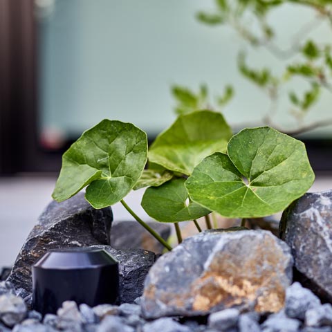 シンプルモダンの外構施工事例